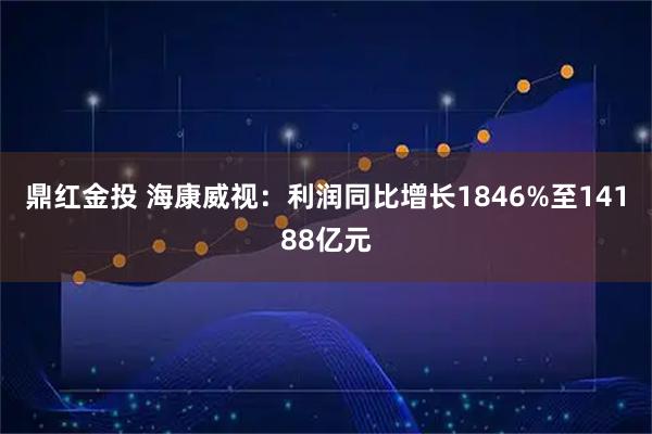 鼎红金投 海康威视：利润同比增长1846%至14188亿元