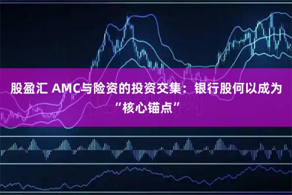 股盈汇 AMC与险资的投资交集：银行股何以成为“核心锚点”