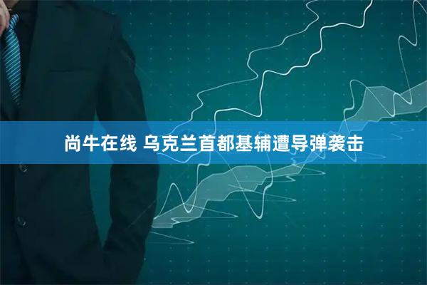尚牛在线 乌克兰首都基辅遭导弹袭击